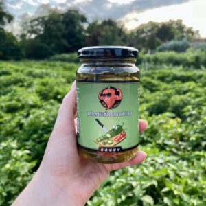 Jalapeño pickles